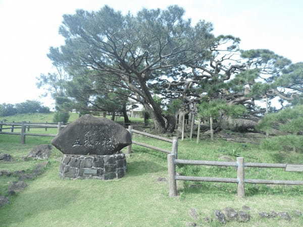 原風景が残る癒しの島「沖縄/久米島」を満喫！