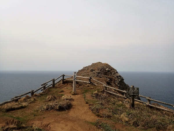 【北海道】日本最北端の離島、礼文島1日周遊プラン！