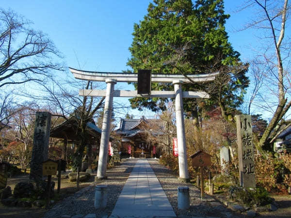 【長野】別名穴城「小諸城址 懐古園」散策のススメ