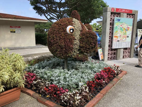 “美ら海の図鑑”ができちゃう！「沖縄美ら海水族館」