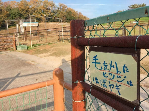 【豊田市】鞍ヶ池公園にある無料動物園のクセがすごい！デートにもファミリーにもおすすめ