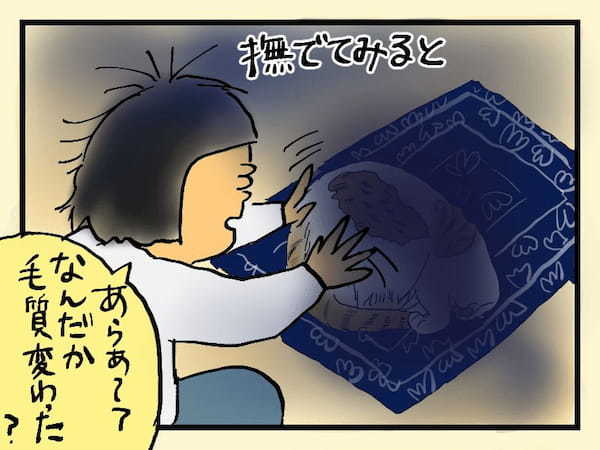 ＜猫漫画＞ギャー！夜中に猫をなでたら…実はとんでもないものだった