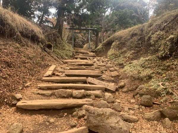 都内からの日帰り登山にも！ケーブルカー無しで楽しむ大山登山のベストコース【神奈川】