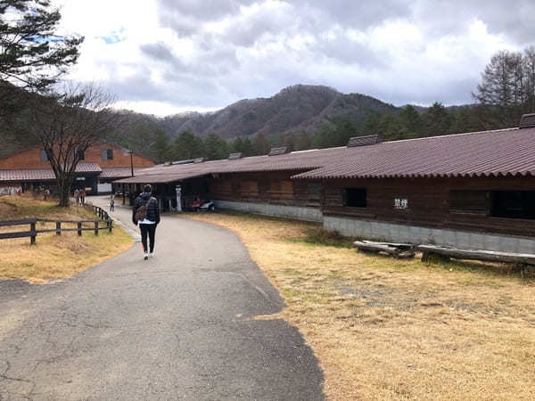 【木曽馬の里】愛らしい「木曽馬」に癒されよう（長野・開田高原）