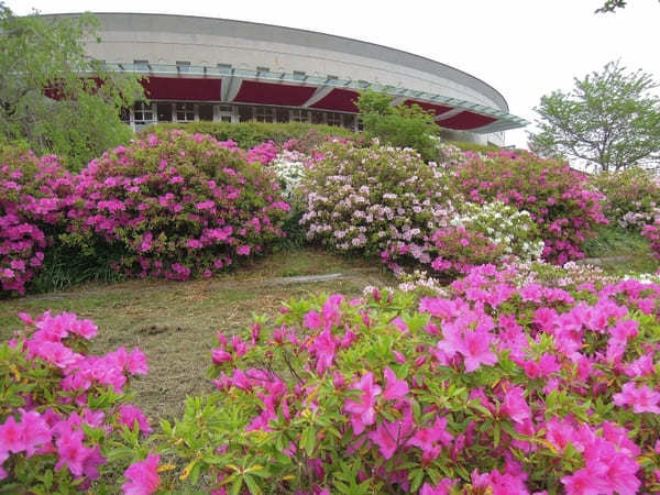 【和歌山】道の駅青洲の里で、外科医「華岡青洲」について知ろう