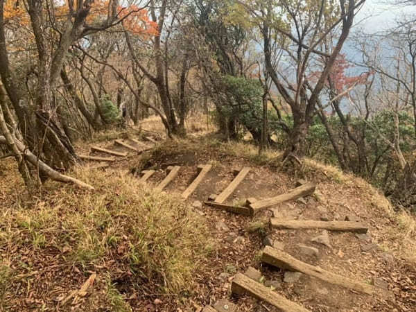 都内からの日帰り登山にも！ケーブルカー無しで楽しむ大山登山のベストコース【神奈川】