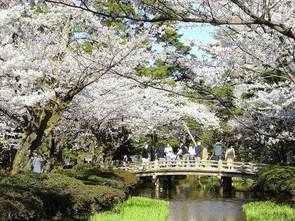 兼六園の桜・新緑・紅葉・雪 ～四季の見どころ～
