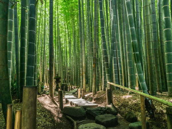 神奈川の人気の神社・お寺TOP20！旅行好きが行っている寺社ランキング1.jpg