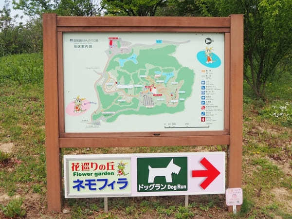 【香川】春らんまん♪讃岐まんのう公園で一面に咲く春の花を楽しもう！