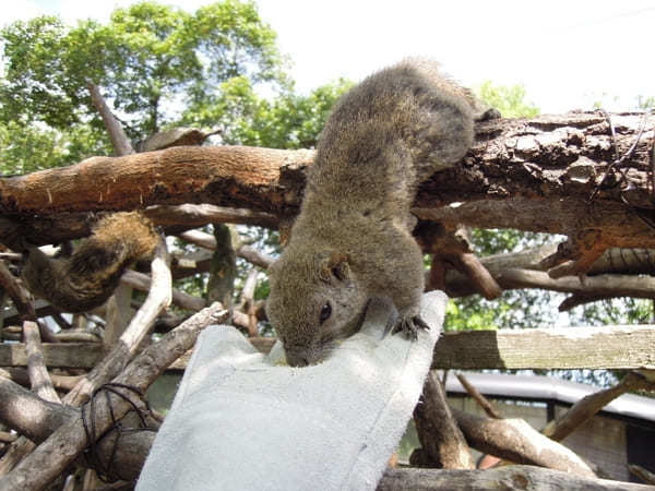 【岐阜】古い町並みや絶景も！長良川温泉を観光しよう