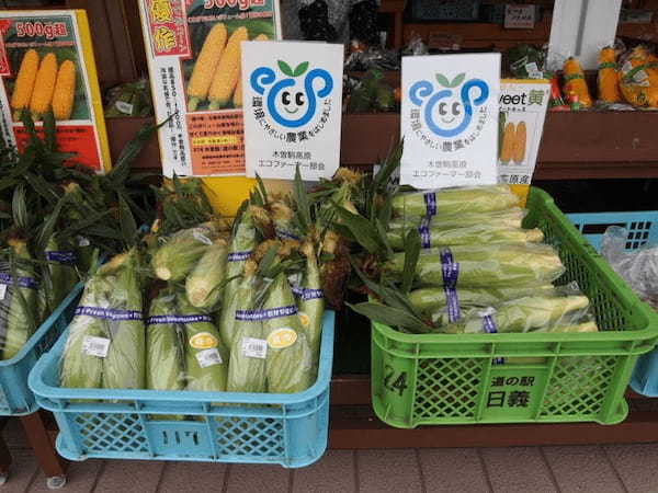 【長野】道の駅日義木曽駒高原で買いたい季節限定お土産7つ！1.jpg