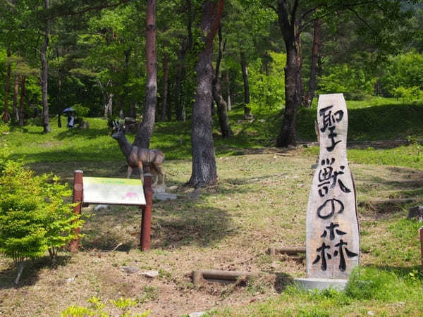 【兵庫】ラベンダーパーク多可で癒されよう！チェーンソーアートに卵かけご飯も！