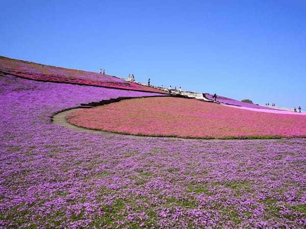 【2022最新】千葉・房総半島の人気観光スポットTOP28！旅行好きが行っている観光地ランキング25.jpg