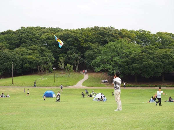 子どもと行きたい横浜のおすすめ公園22選！大型遊具・ロング滑り台など設備充実の公園特集