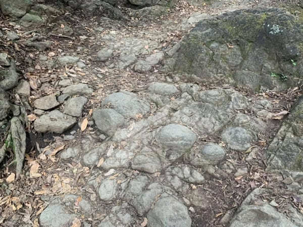 都内からの日帰り登山にも！ケーブルカー無しで楽しむ大山登山のベストコース【神奈川】