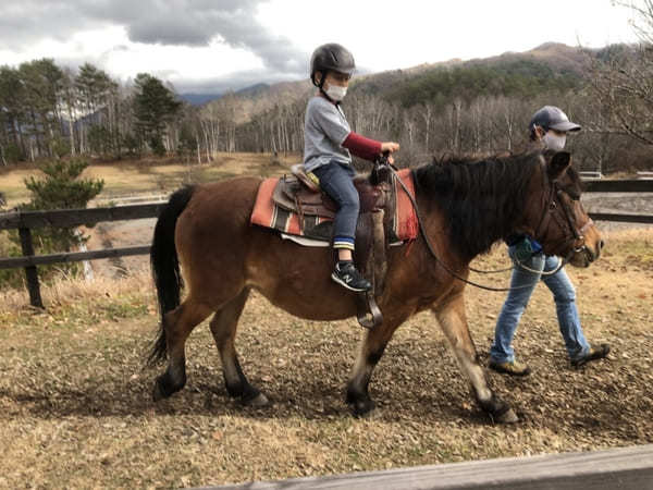 【木曽馬の里】愛らしい「木曽馬」に癒されよう（長野・開田高原）