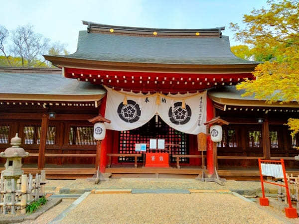 毎月御朱印が変わる！カエルが守る【名古屋 富部神社】