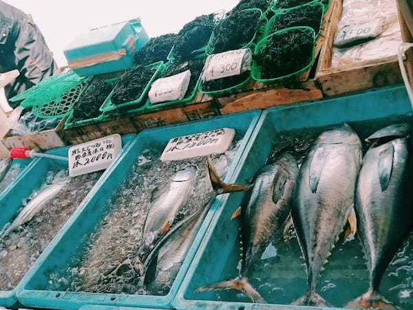 千葉県房総半島。漁港の町・勝浦で早起き散策を楽しもう！1.jpg