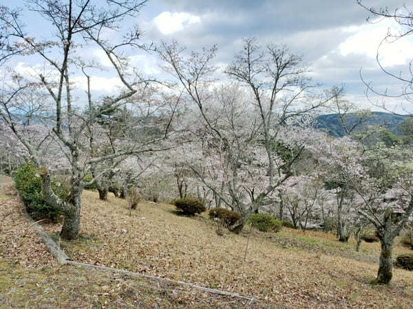 岐阜県の山間にある町【八百津】のおすすめスポット