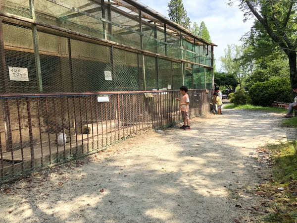 無料でBBQに水遊び！動物とも触れ合える【陶史の森】（岐阜県土岐市）