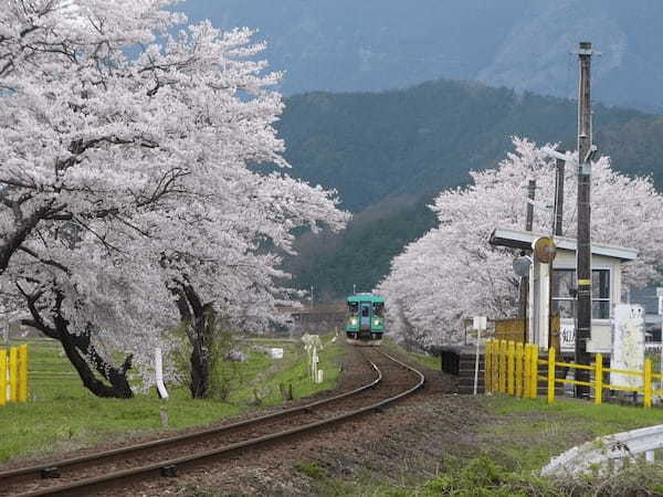 【2022】4月の国内おすすめ旅行先25選！春休み・GW旅行にもぴったりな観光地特集1.jpg