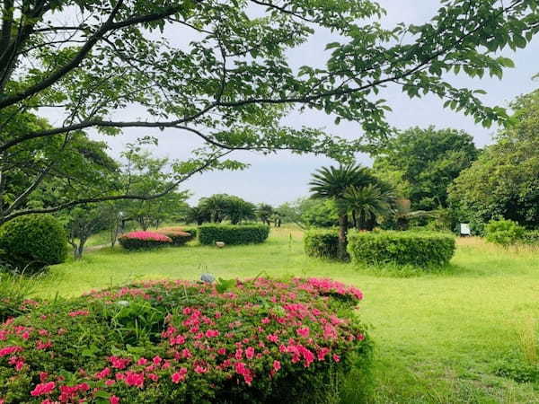 【逗子】大崎公園の魅力を地元ライターが写真付きで紹介～のどかな自然が魅力～1.jpg