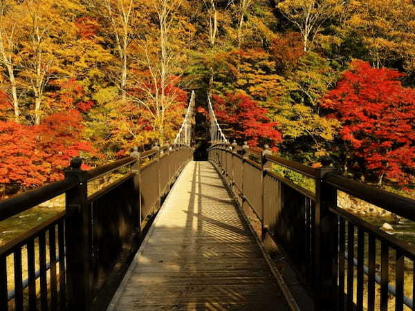 塩原温泉郷いで湯満喫の紅葉ドライブ【栃木】