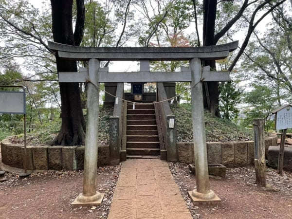 子供と一緒にお散歩気分で巡れる！3つの山を有する「都立浅間山公園」へ【府中市】