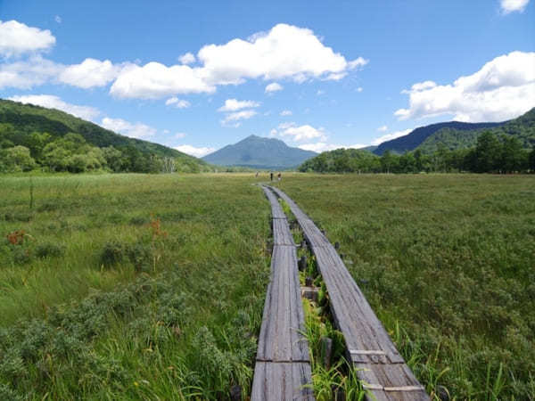 【群馬県】美しい尾瀬の湿原とイチオシのお土産・スイーツ