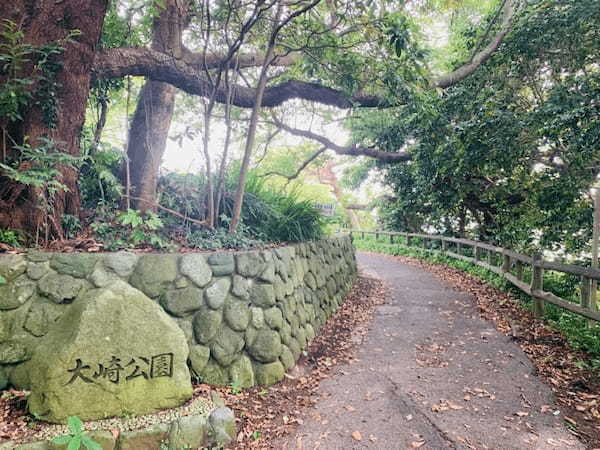 【逗子】大崎公園の魅力を地元ライターが写真付きで紹介～のどかな自然が魅力～1.jpg