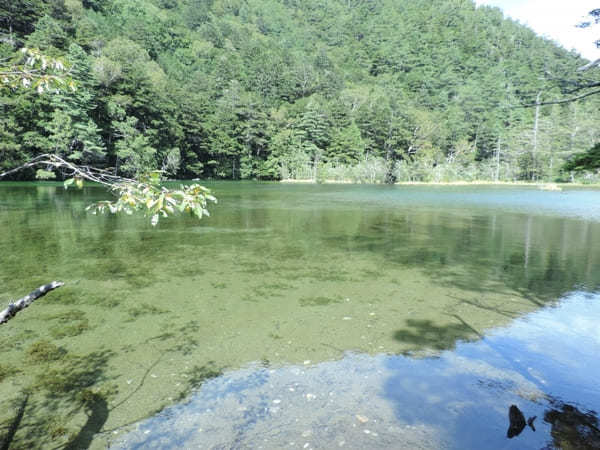 【上高地】美しい自然を大満喫！「かっぱ橋」から「明神池」を散策！