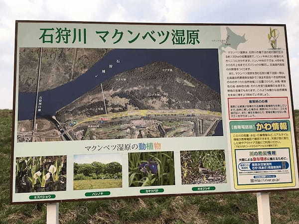 【北海道】石狩平野に広がるマクンベツ湿原とミズバショウ群生1.jpg