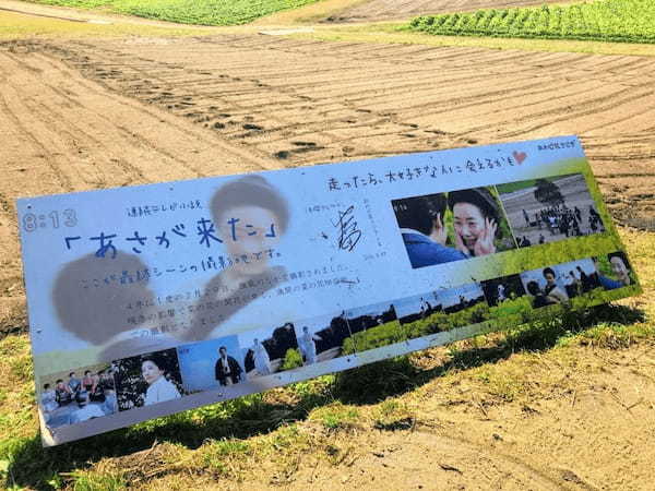 【入園無料】日本にもこんな美しいお花畑が！淡路島の「あわじ花さじき」で季節とりどりのお花畑を楽しもう！1.jpg