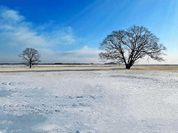 【北海道】冬の十勝で見たい・行きたい！オススメのスポット10選1.jpg