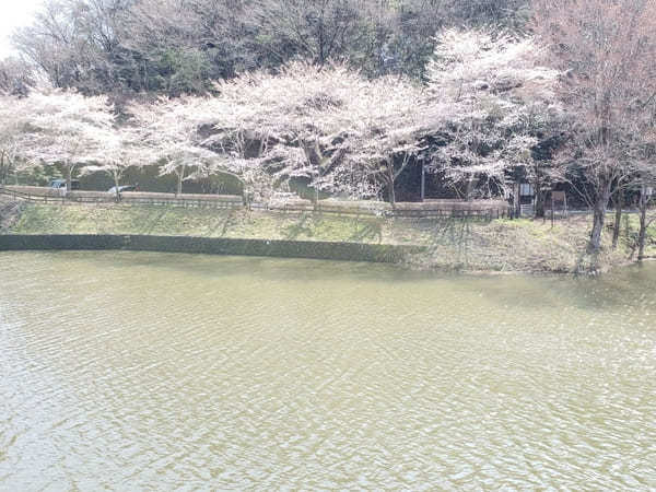 戦国武将ゆかりの地【岐阜県可児市】で歴史と花のスポット巡り！