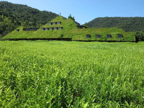 【滋賀】近江八幡を代表する有名店「ラコリーナ近江八幡」と「カネ吉山本」で買えるお土産10選