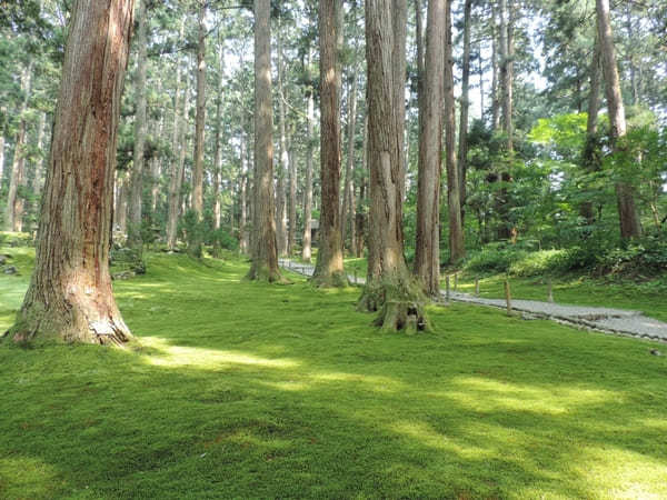 福井県でおすすめの神社9社