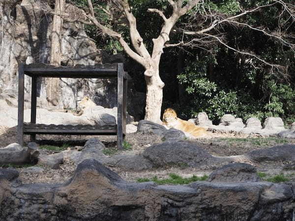 【愛媛】とべ動物園と四国最大級ジップラインで家族皆でマルっと楽しもう！1.jpg