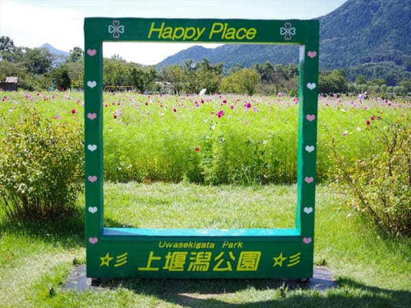 【新潟市】憩いのスポット上堰潟公園で米どころの風物詩「わらアート」を楽しもう