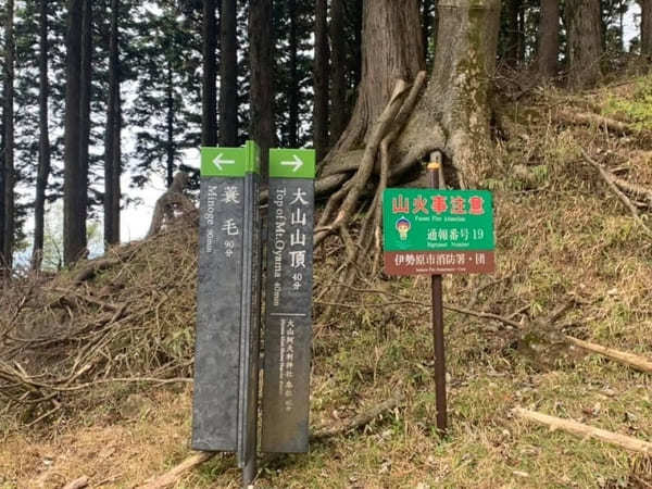 都内からの日帰り登山にも！ケーブルカー無しで楽しむ大山登山のベストコース【神奈川】