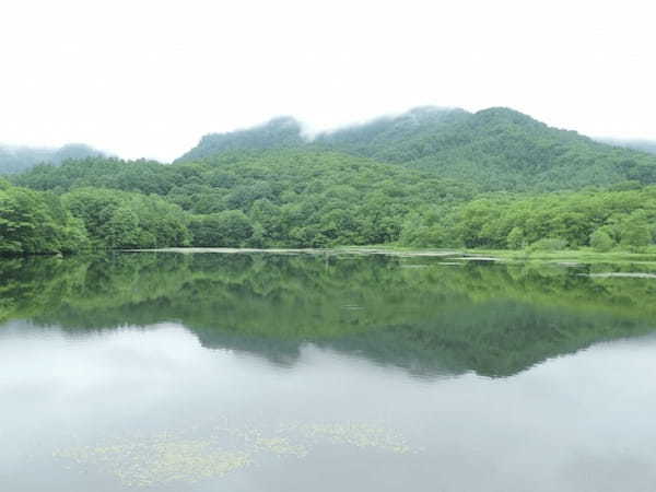 長野県の人気観光地【戸隠】の魅力！