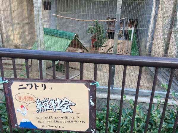 【豊田市】鞍ヶ池公園にある無料動物園のクセがすごい！デートにもファミリーにもおすすめ