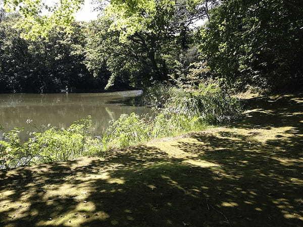 【北海道・七飯町】大沼国定公園の散策・湖上クルーズと仔牛の哺乳体験