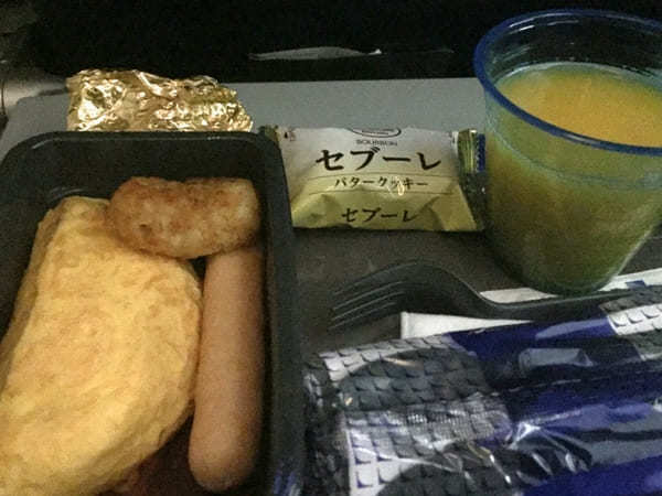 ニューヨーク旅行で味わえる【国際線エコノミークラス機内食】世界の航空会社7選♪