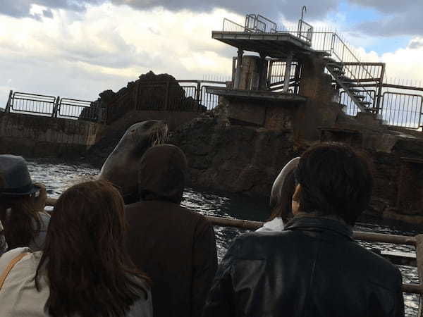 【北海道】圧巻のトドショー！大自然に囲まれたおたる水族館で海獣に会おう！