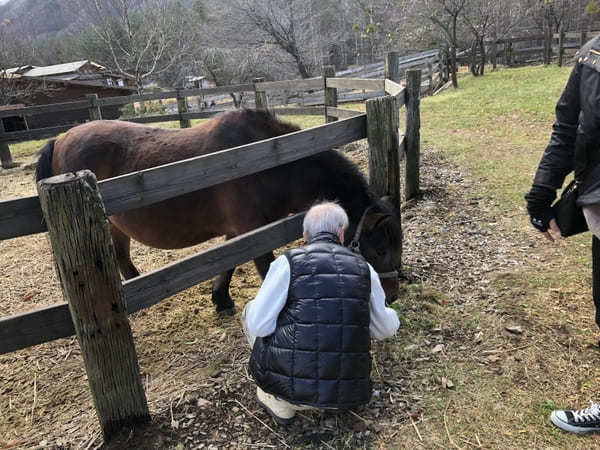 【木曽馬の里】愛らしい「木曽馬」に癒されよう（長野・開田高原）