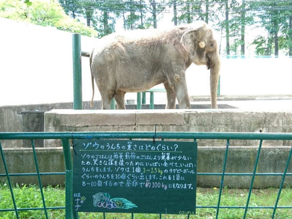 北海道のおすすめ動物園13選！動物に会える人気スポット特集