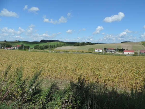 絶景が広がる 北海道 / 美瑛の丘めぐり！