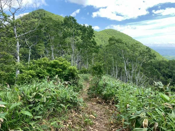 【北海道】然別湖の自然を大満喫！白雲山・天望山・東雲湖をぐるっと1周♪