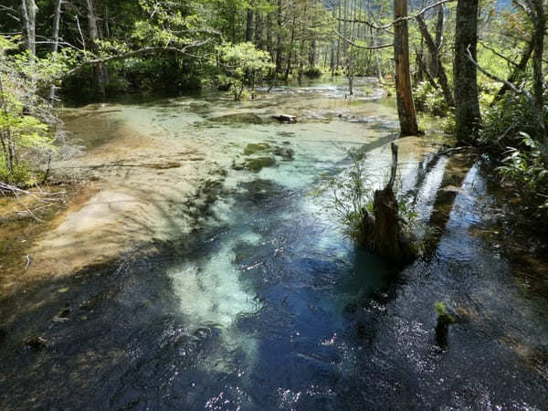 【上高地】美しい自然を大満喫！「かっぱ橋」から「明神池」を散策！